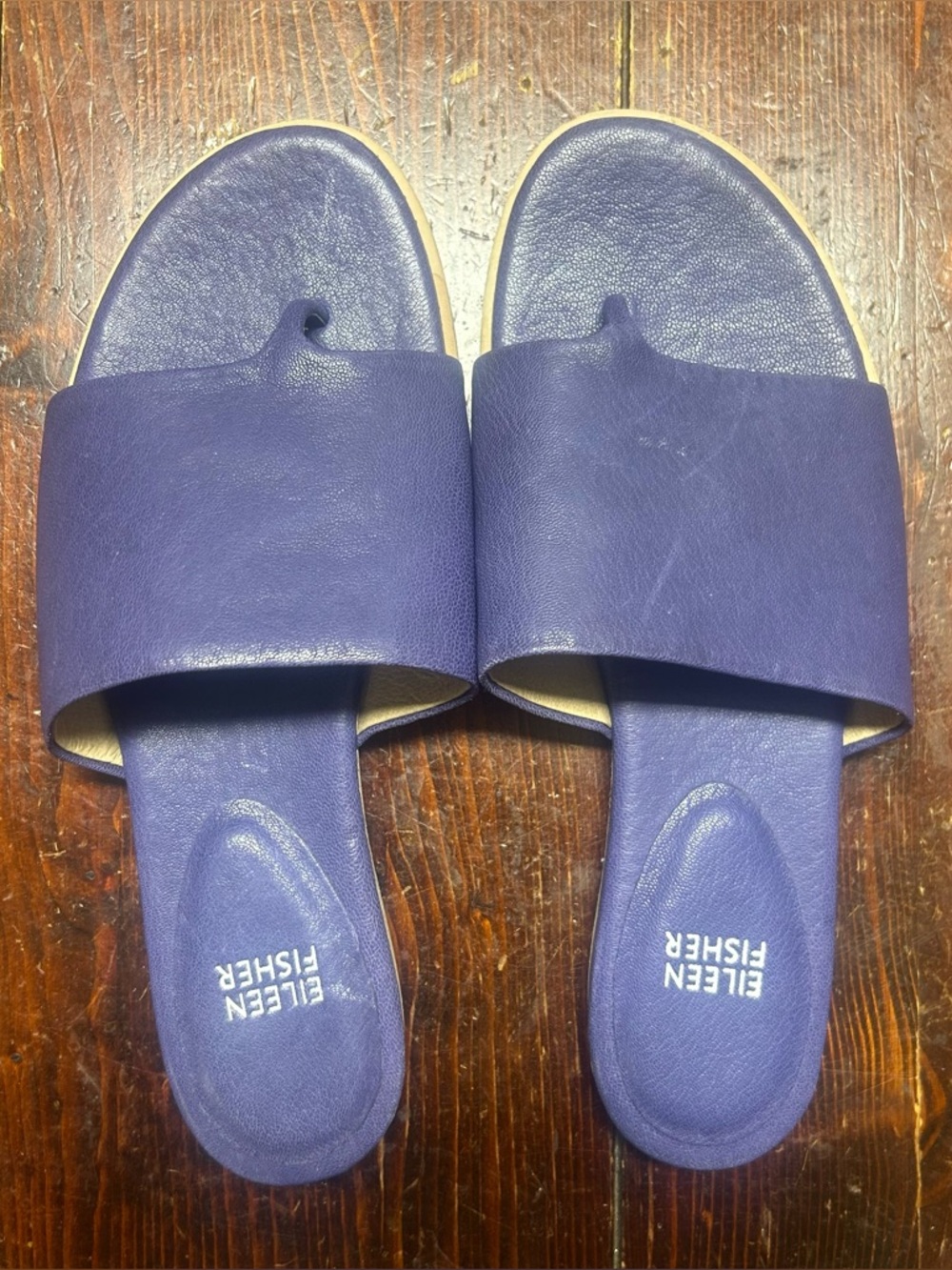 Eileen Fisher Navy Leather Toe-Loop Slide Sandals
